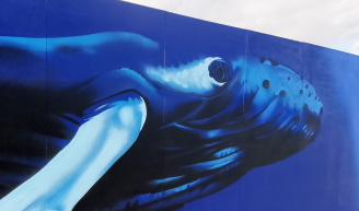 Whale Mural on Dundee Maritime Trail